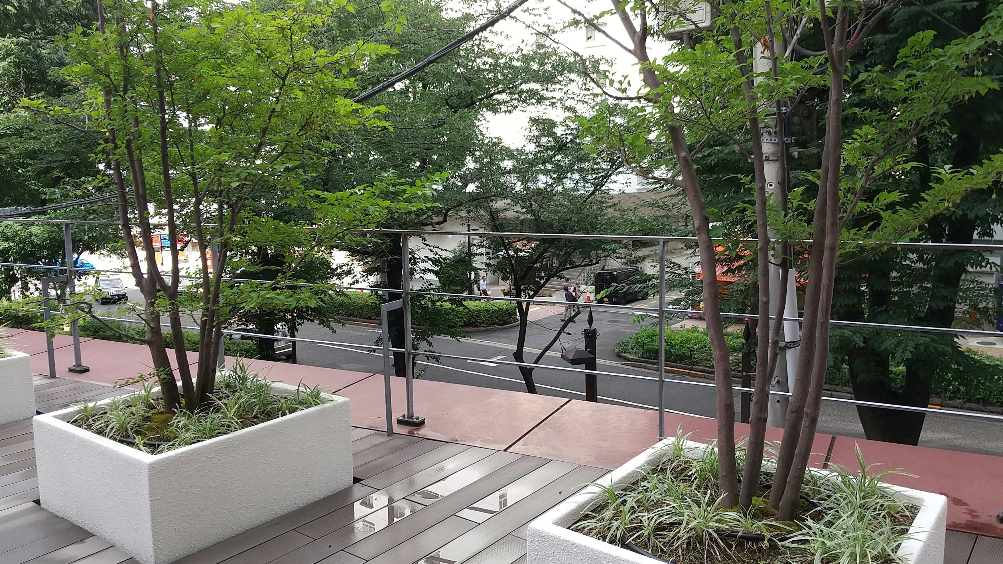 terrace.jpg